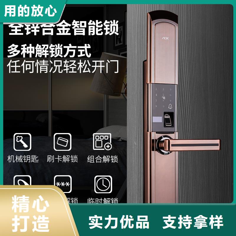 可视智能锁工程