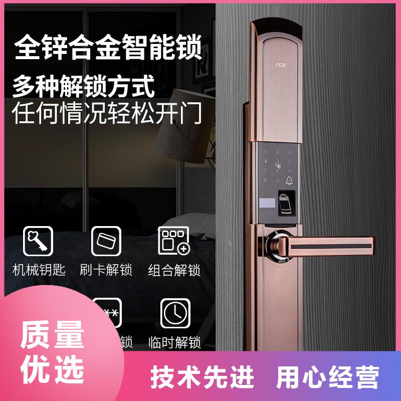 智能锁人脸识别智能锁销售专注品质
