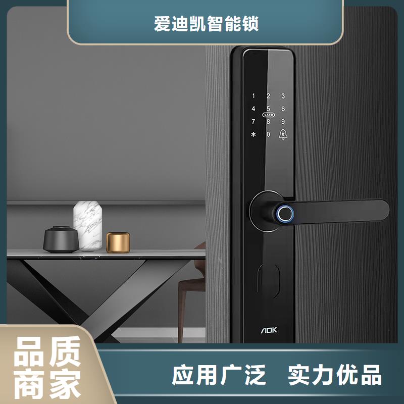 智能锁人脸识别智能锁销售实力工厂