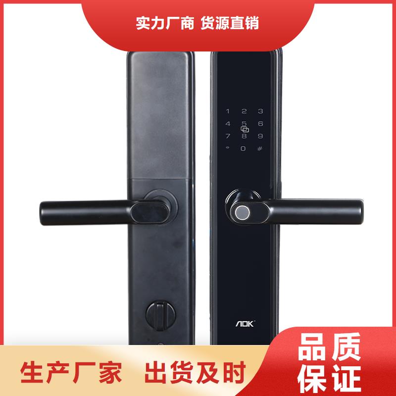可视智能锁工程