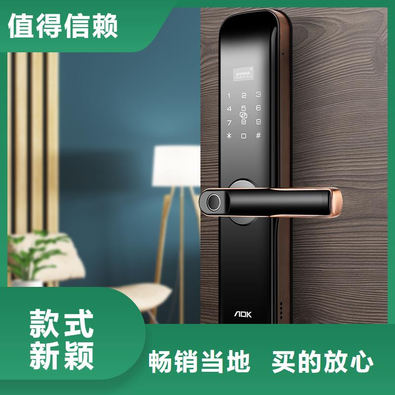 智能锁人脸识别智能锁批发来图定制