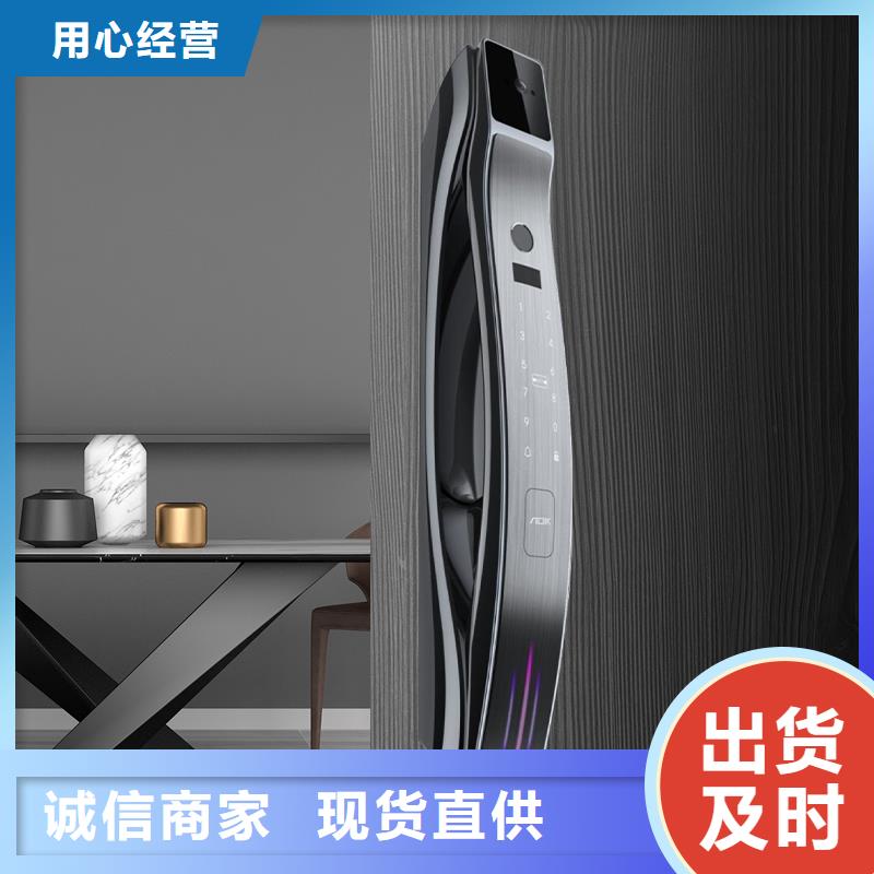 智能锁,批发智能电子锁厂家直销放心