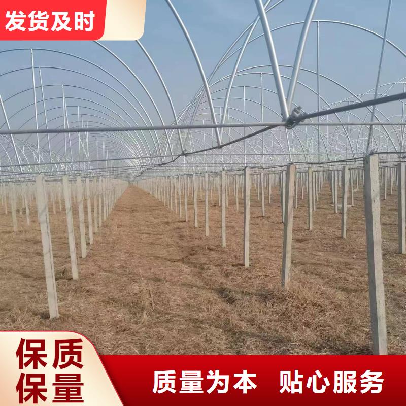 【温室大棚】热镀锌光伏支架可零售可批发