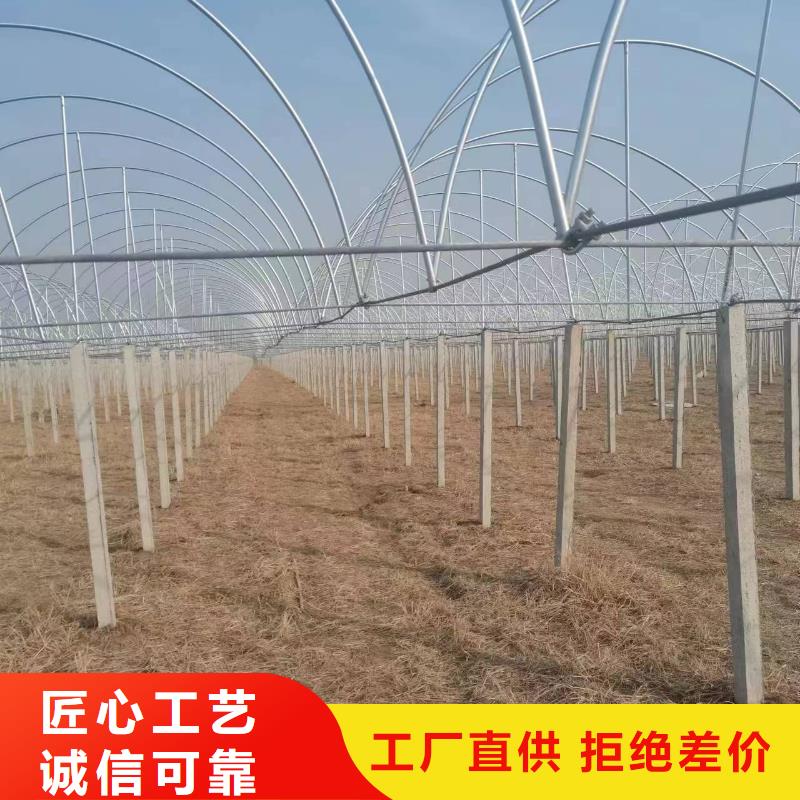 温室大棚温室大棚滴灌设备种类多质量好