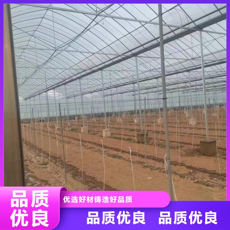 温室大棚太阳能光伏支架值得信赖