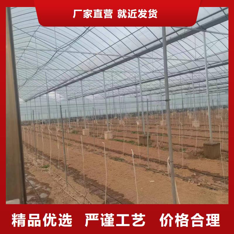 温室大棚_温室大棚配件懂您所需