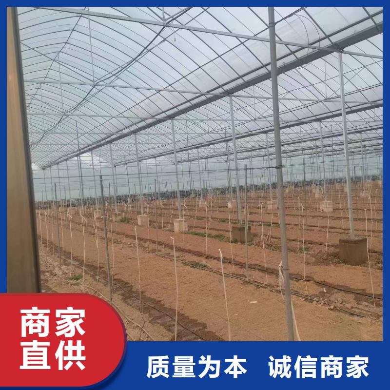 【温室大棚】热镀锌光伏支架可零售可批发