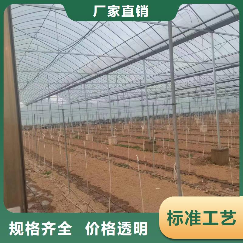 温室大棚一站式供应