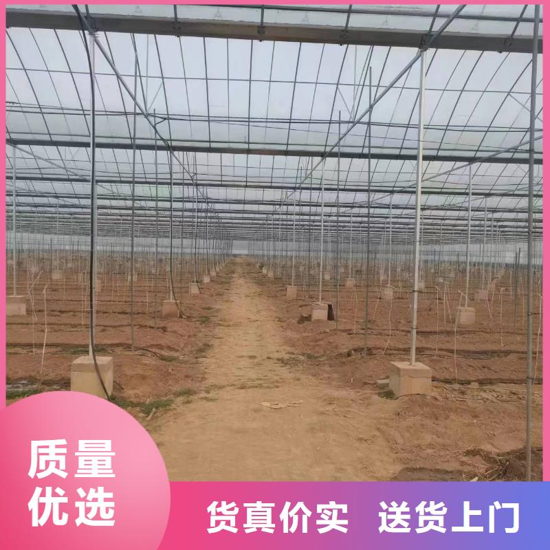 温室大棚光伏支架高标准高品质