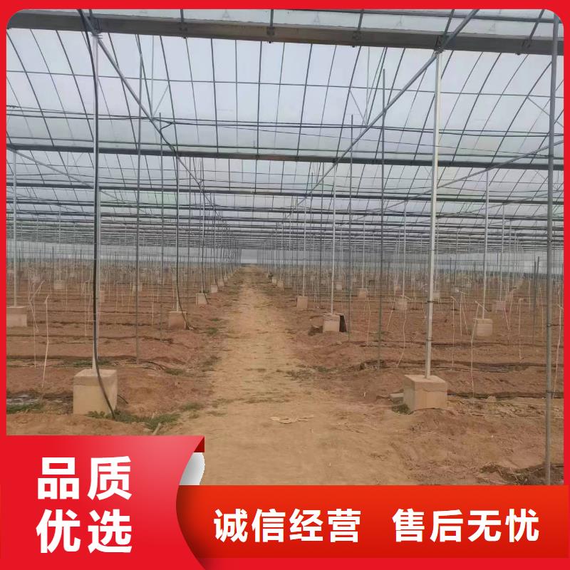温室大棚,温室大棚滴灌设备专业生产N年