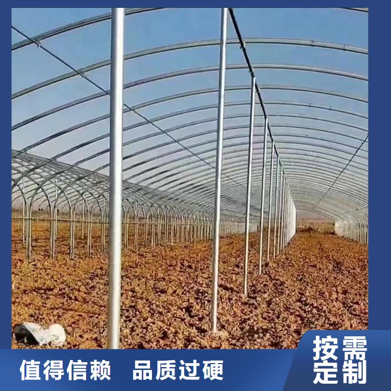 温室大棚光伏支架用心做产品