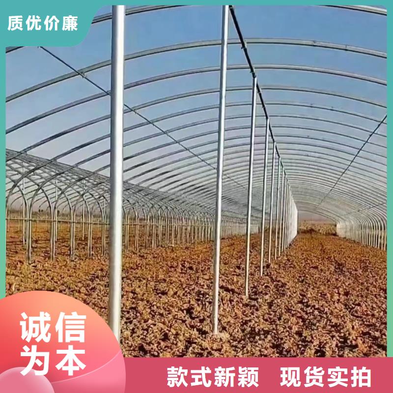 温室大棚光伏支架精工细致打造