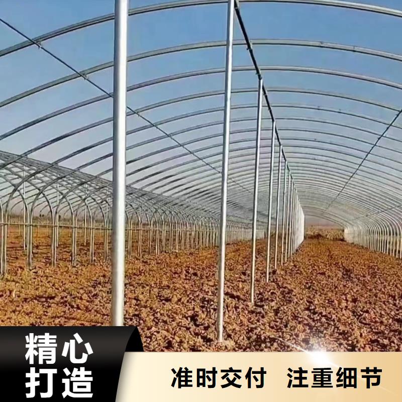 温室大棚养殖大棚建设来图来样定制