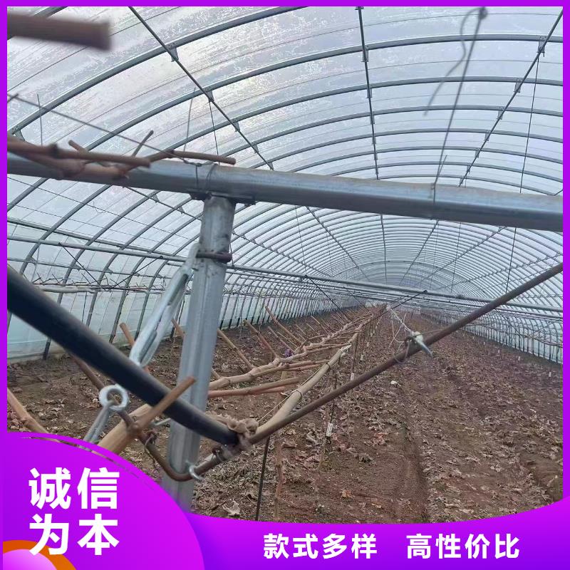 温室大棚,锌铝镁光伏支架细节之处更加用心