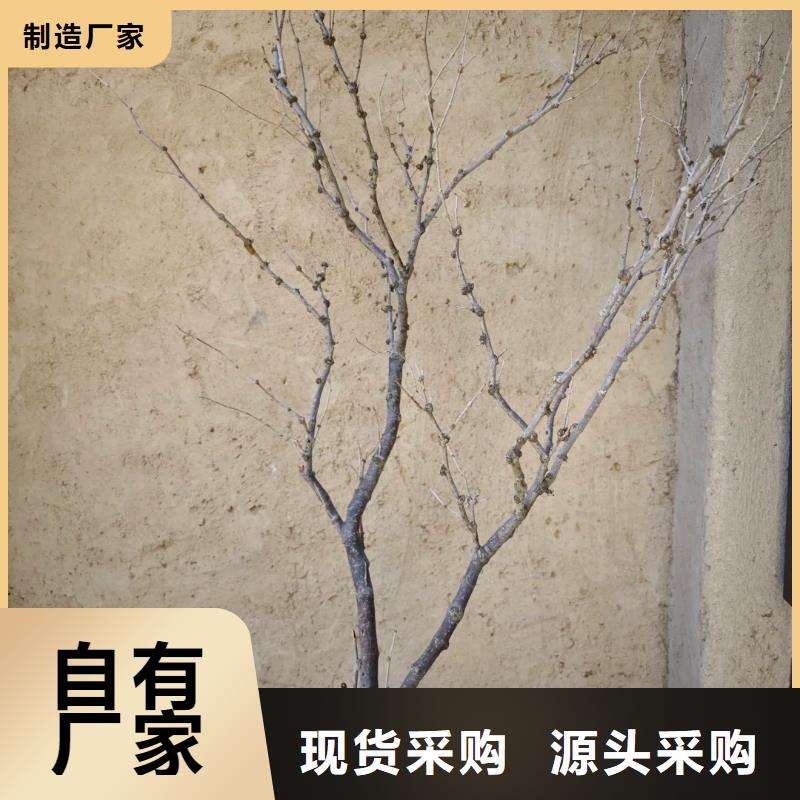 稻壳漆，仿泥巴稻草漆，美丽乡村建设，仿夯土肌理漆源头工厂