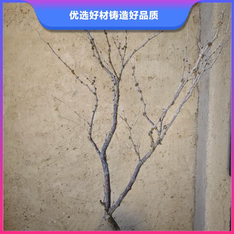 稻草泥源头厂家，批发价，可施工