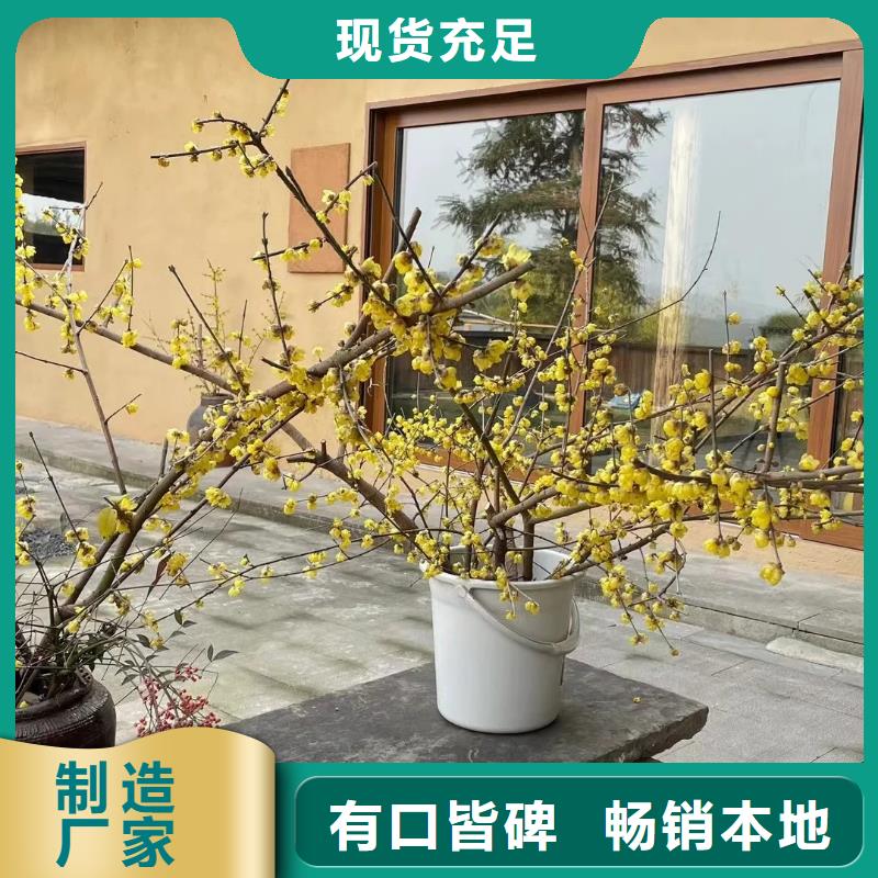 稻秸秆漆生产厂家，批发直销