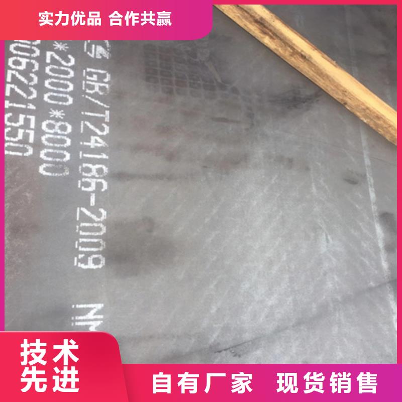 进口耐磨钢板视频-临夏市进口耐磨钢板-(本土)可服务区域广河|永靖|甘南|金昌|平凉|武威|庆阳|酒泉