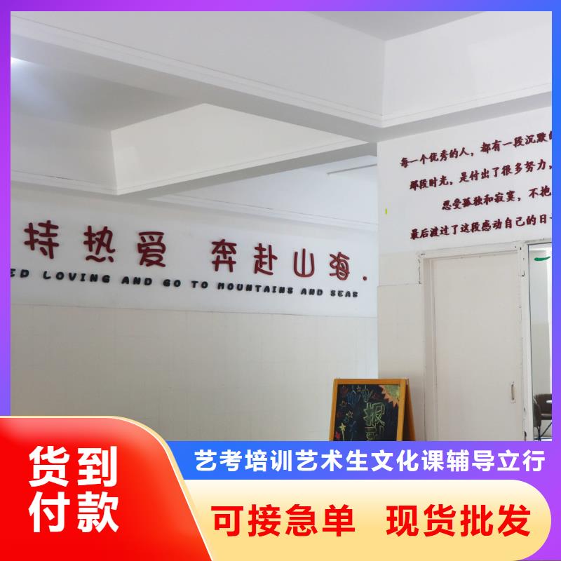 济南艺考文化课-【舞蹈艺考培训】老师专业