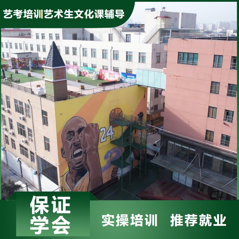 山东艺考文化课,高考物理辅导理论+实操