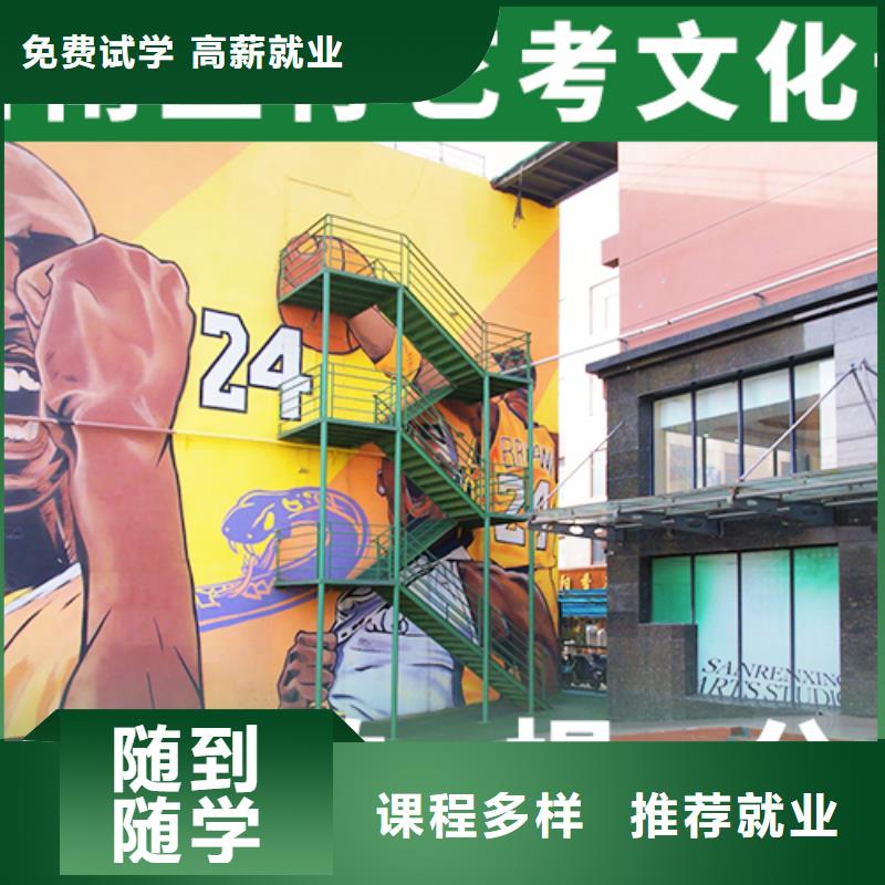艺考文化课培训高三集训理论+实操