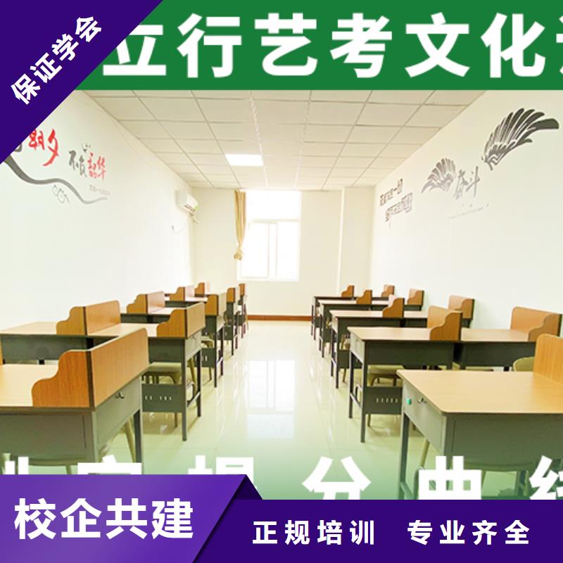 艺考生文化课-高考冲刺全年制正规培训