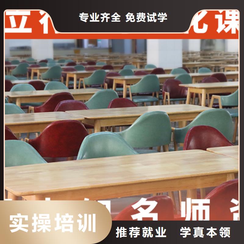 艺考生文化课艺考文化课培训理论+实操