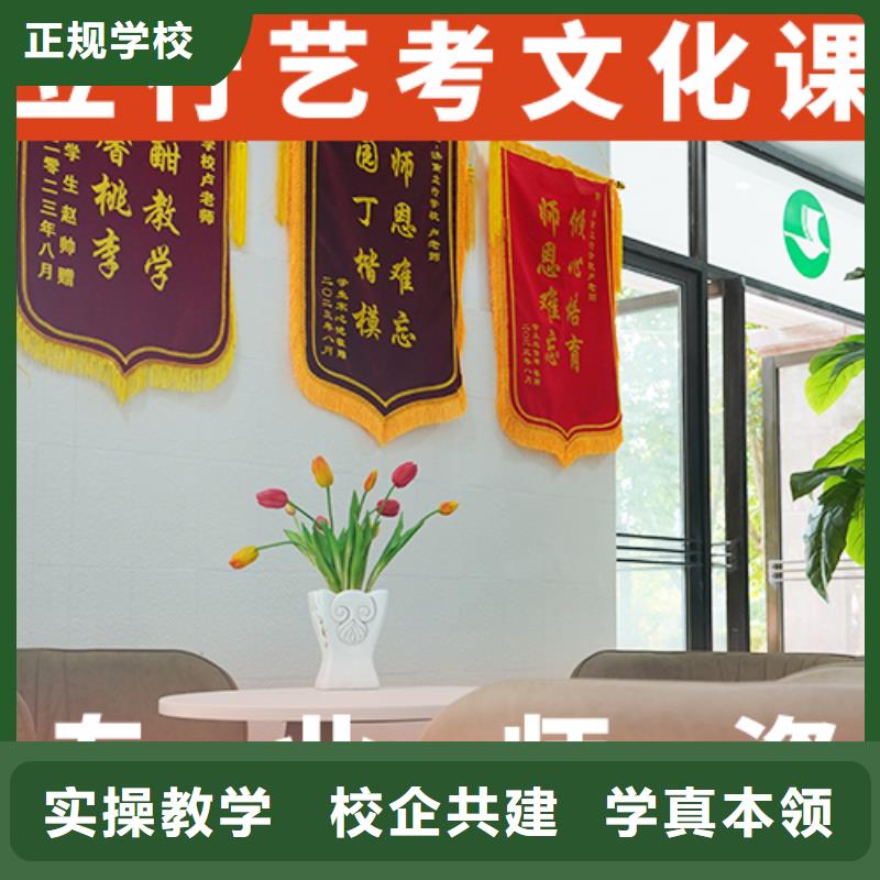 艺考生文化课-艺术生文化补习正规培训