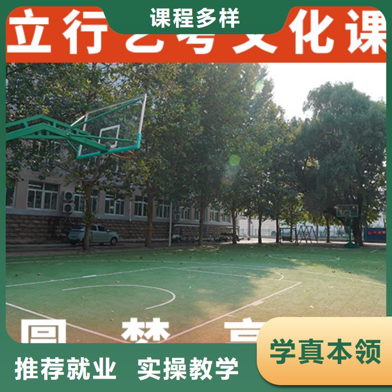 艺考生文化课艺考文化课培训理论+实操