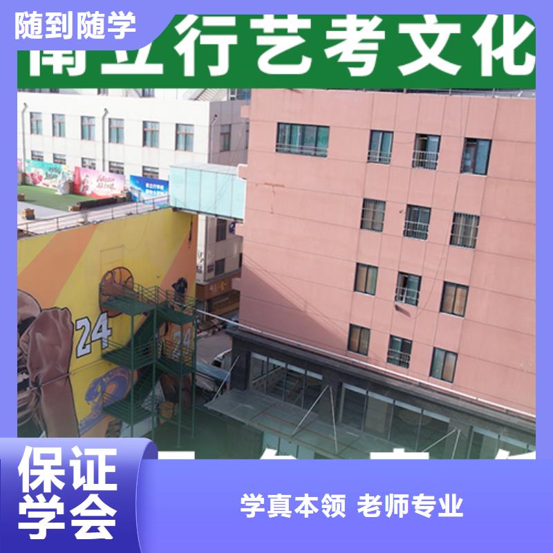 艺考文化课培训艺考文化课冲刺学真技术