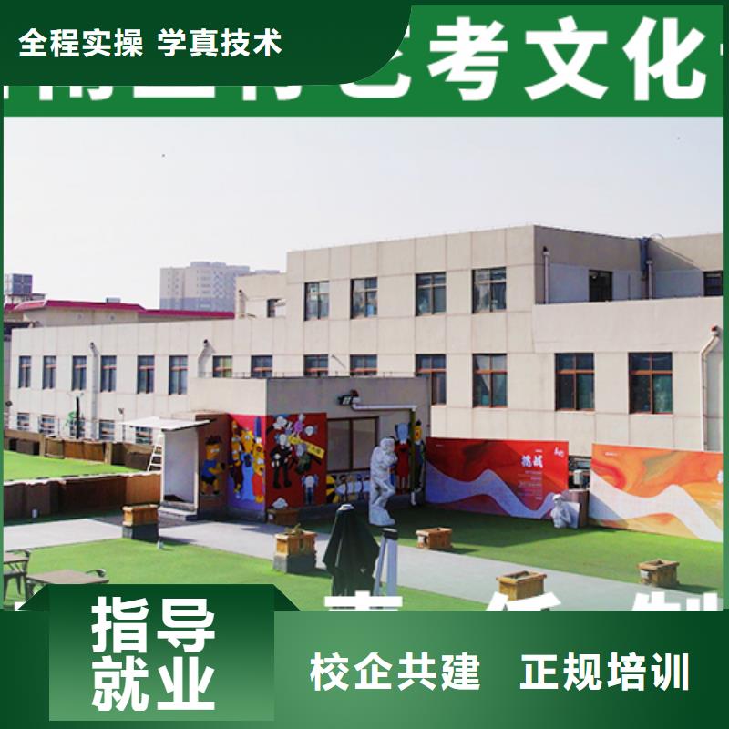 艺考文化课培训艺考文化课冲刺学真技术