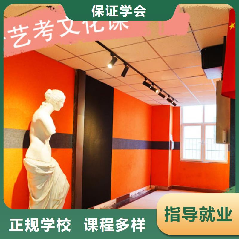 艺考生文化课艺考一对一教学专业齐全