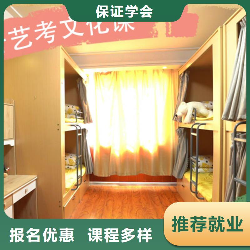 艺考生文化课艺考培训理论+实操