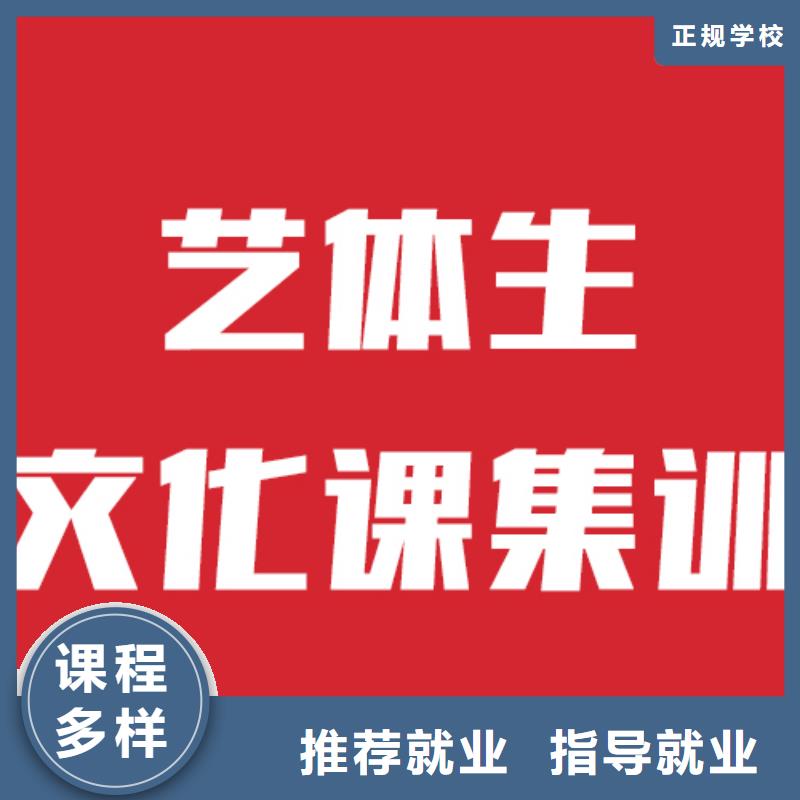 艺考生文化课艺考培训理论+实操