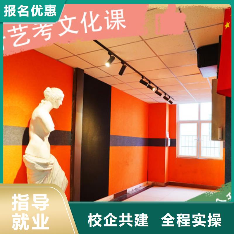 艺考文化课培训高考复读学真技术