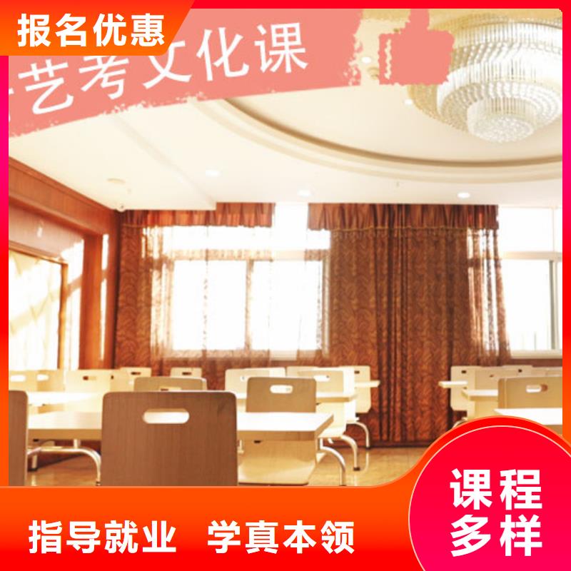 艺考文化课培训【高中一对一辅导】理论+实操