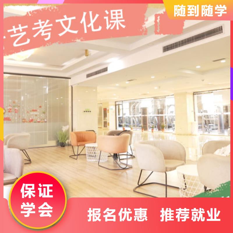 艺考文化课培训高考复读学真技术