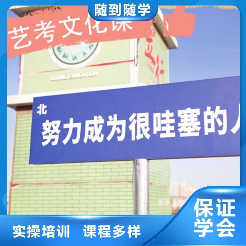 艺考文化课培训【高中一对一辅导】理论+实操
