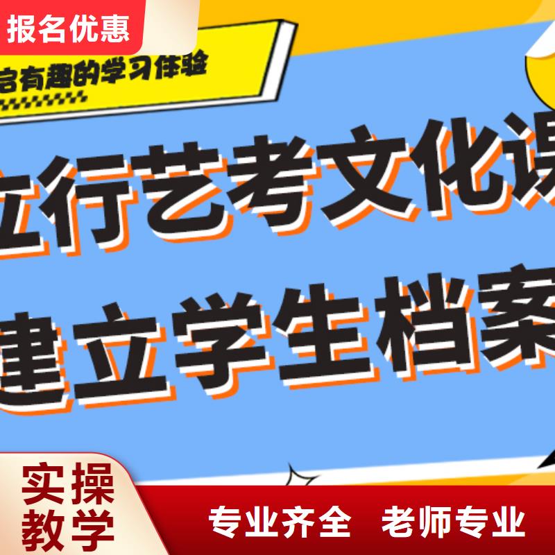 艺考文化课【舞蹈艺考培训】老师专业