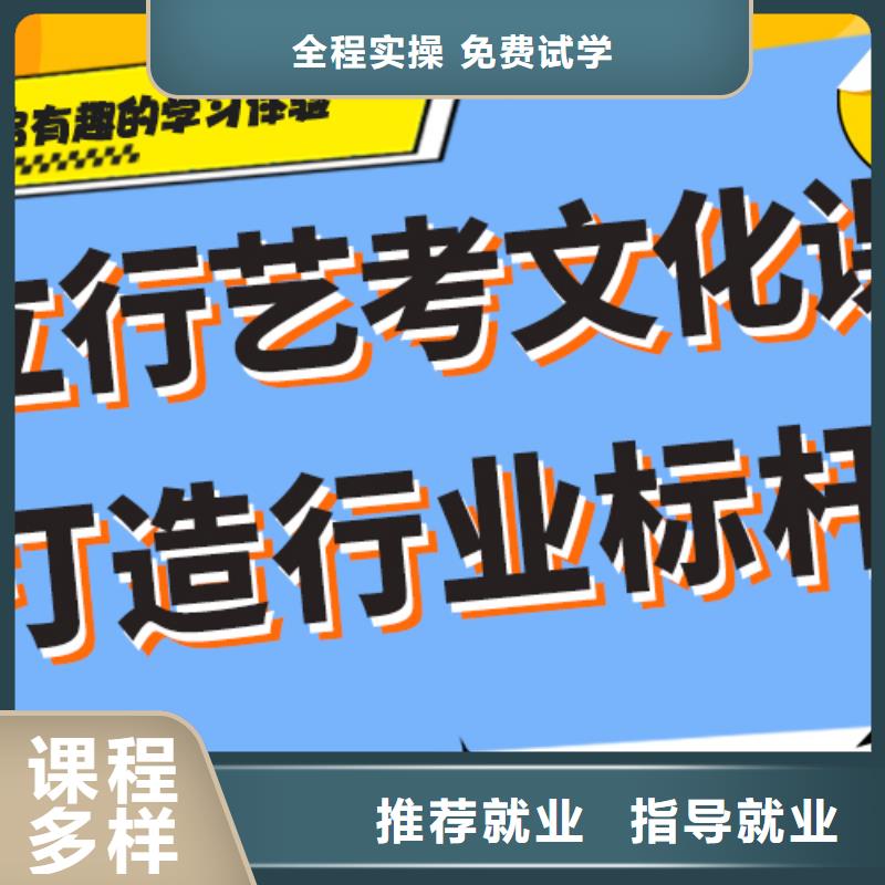 艺考文化课【【高三复读】】手把手教学