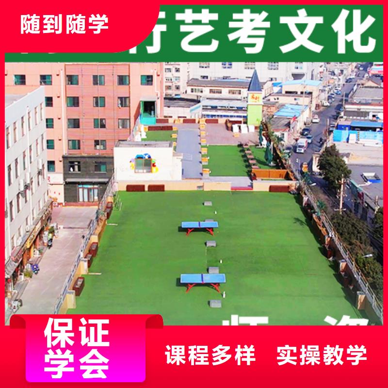 艺考文化课【【高三复读】】手把手教学