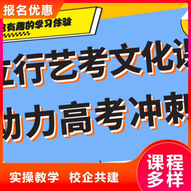 艺考生文化课【高考小班教学】实操培训