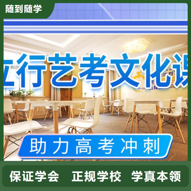 艺考生文化课冲刺艺考文化课冲刺老师专业