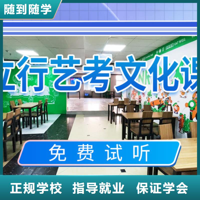 艺考生文化课冲刺艺考文化课培训学真本领