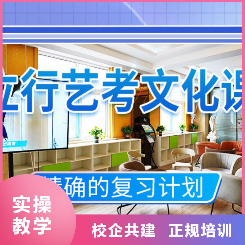 艺考生文化课冲刺艺考文化课培训学真本领