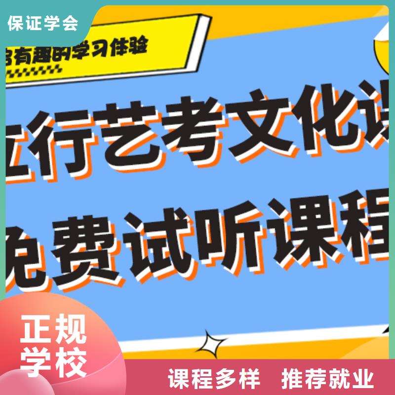 艺考生文化课冲刺艺考文化课冲刺老师专业