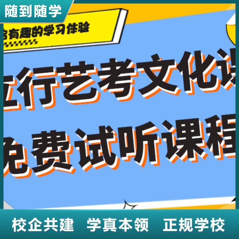 艺考生文化课冲刺艺考文化课冲刺老师专业