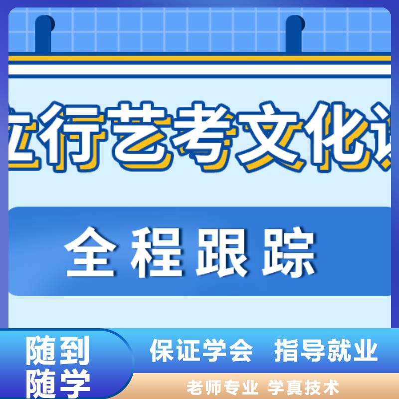 艺考生文化课冲刺艺考文化课冲刺老师专业