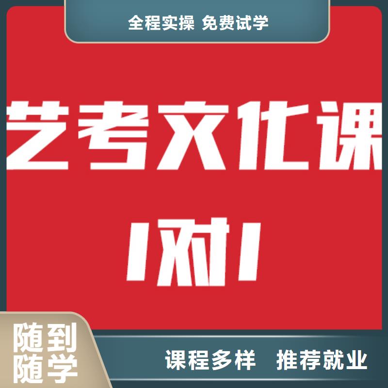 艺考文化课机构高中一对一辅导理论+实操