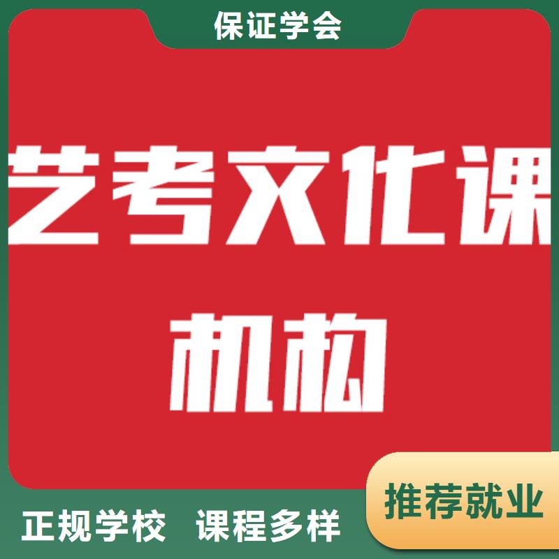 艺考文化课机构【艺考培训学校】理论+实操